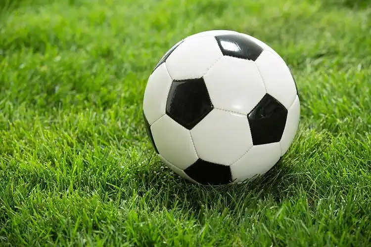 篮球比分球探网平台界面展示